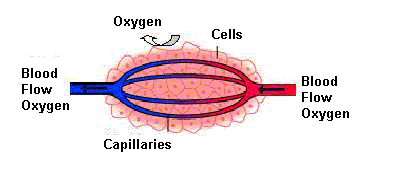 Tissue oxygenation deals